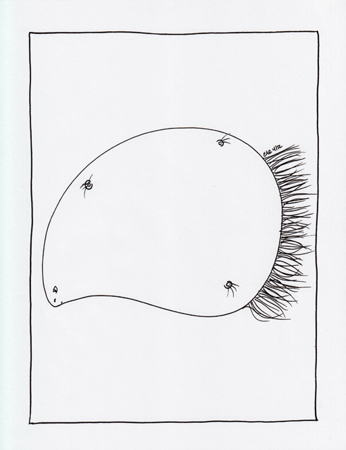 critter